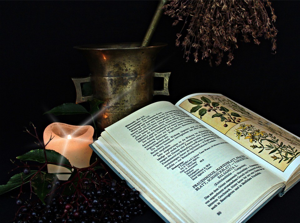 livro e plantas medicinais