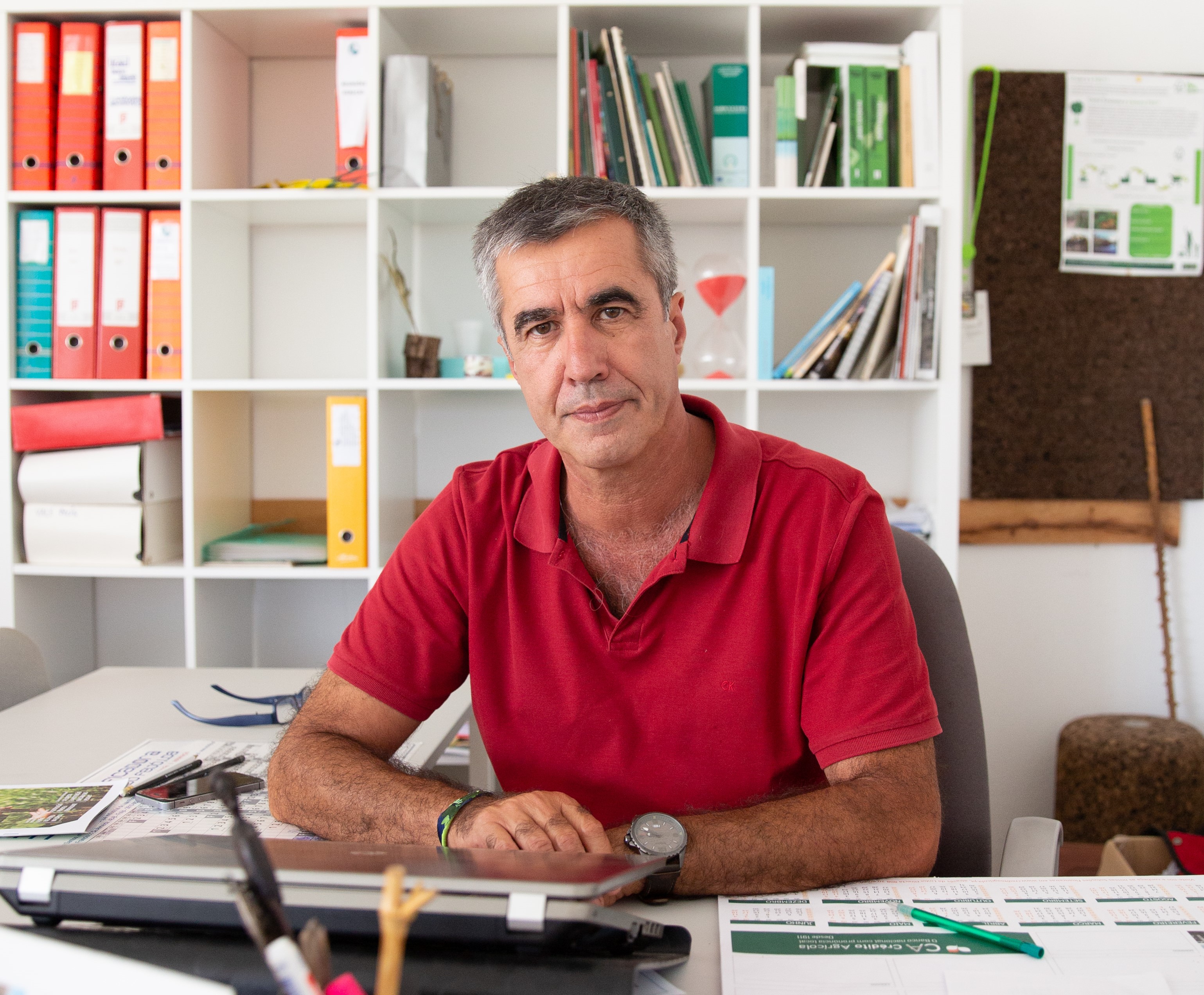 Abrantes | Chuva “é uma bênção” para pastagens mas insuficiente para os agricultores