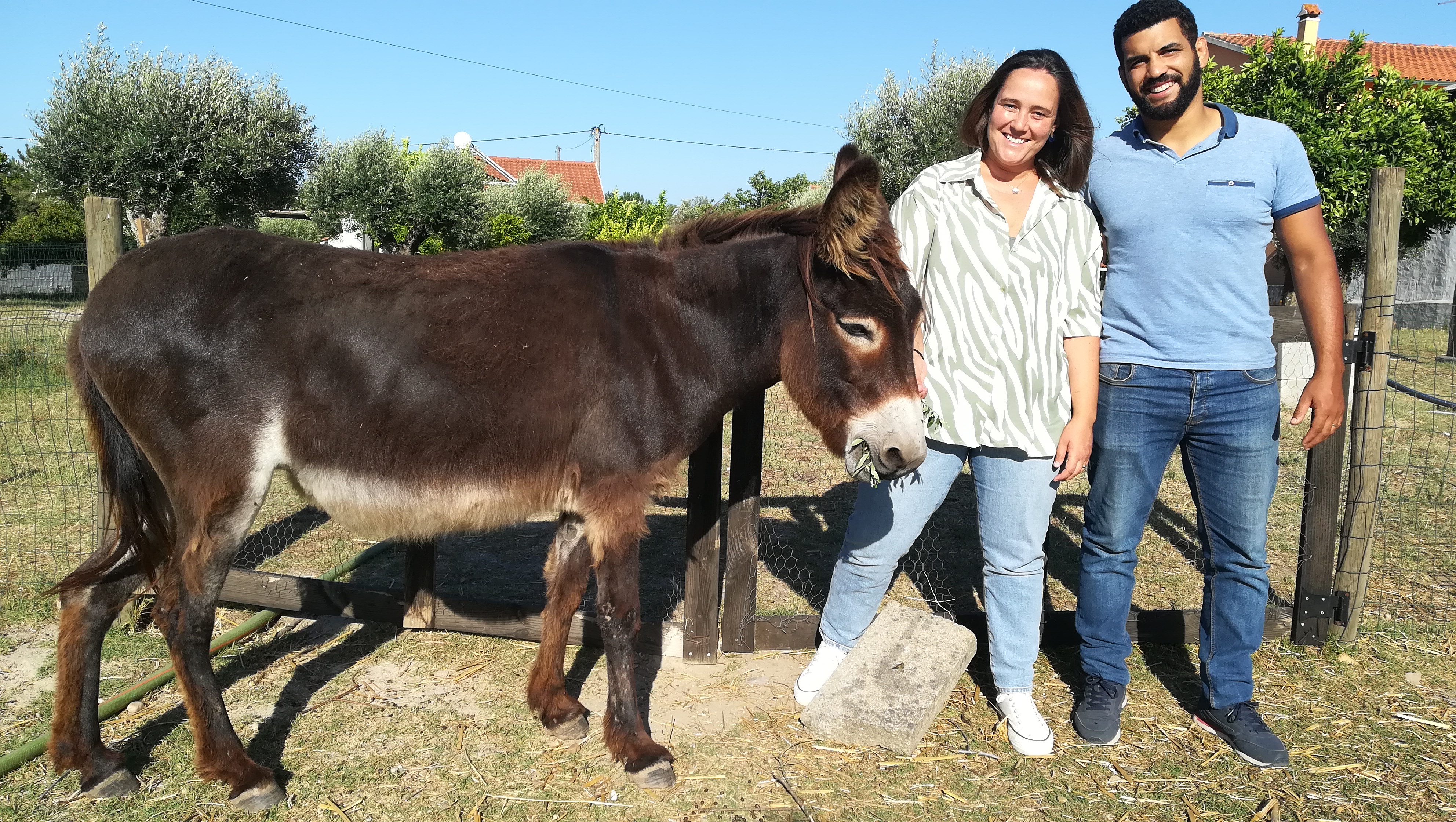 Constância | A vontade e a fé de quem troca a cidade pela vida no campo